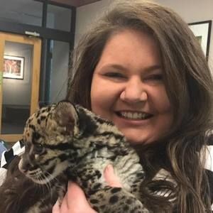 Meet your Posher, Reca